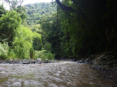 river photo